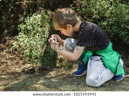 Little boy taking picture of turtle at forest