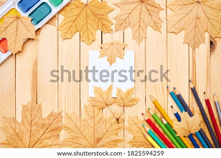 back to school concept. education and study stationery on a wooden desk. above view. decorated with yellow maple leaves.
