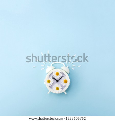 White alarm clock is decorated with flowers and petals of daisies on blue background. New day concept. Copy space for text or quote. Square orientation, selective focus