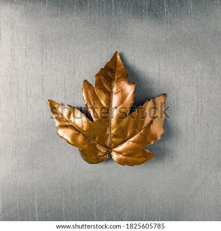 Autumn golden leaf with gray background. Minimal fall season flat lay creative concept. Royalty-Free Stock Photo #1825605785