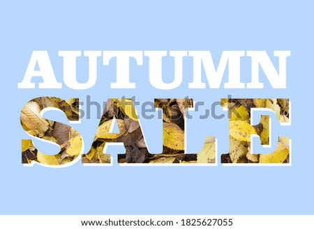 Inscription autumn sale on a blue background, letters from fallen yellow and brown leaves.