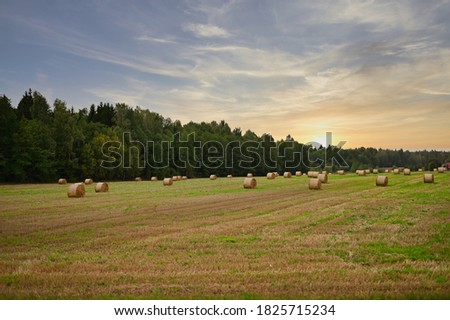 Photo of a field and haystacks. The picture was taken in autumn at sunset