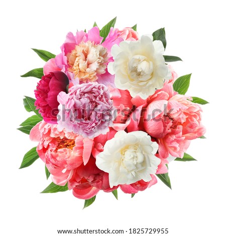 Beautiful peony flower bouquet on white background