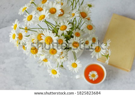 still life vase with daisies a Cup of tea and an old book on a light background
