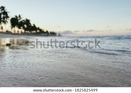 Palm island landscape travel destination ocean