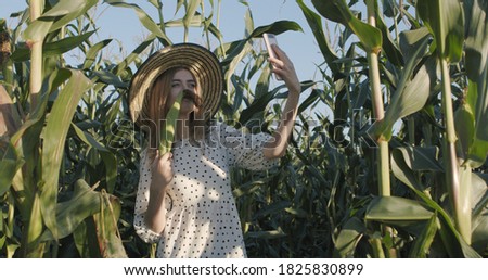 Happy young woman in a straw hat having fun with bundles of corn in her hands stands between the stalks of plants with an agricultural field and fooling around