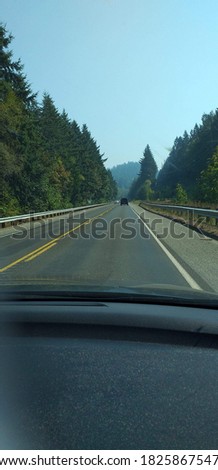 View in car, road in america with pine trees on side