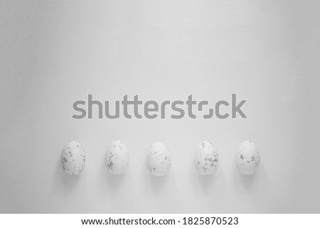 Easter eggs laying in the row on the plain background light gray background minimal