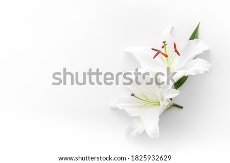 Condolence card with white flowers lily. Funeral symbol Royalty-Free Stock Photo #1825932629