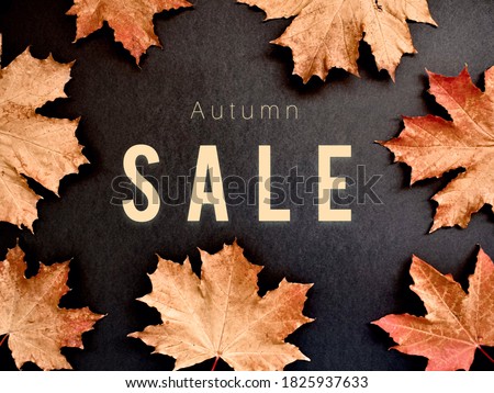 Autumn sale. Autumn leaves are golden on a black contrasting background. Copy space