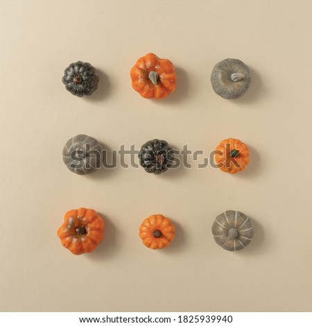 Autumn pumkins flat lay background. Minimal seasonal creative concept. Royalty-Free Stock Photo #1825939940