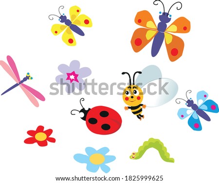Colorful butterflies, dragonfly, ladybug, caterpillar and bee with flowers on a white background. Vector image.