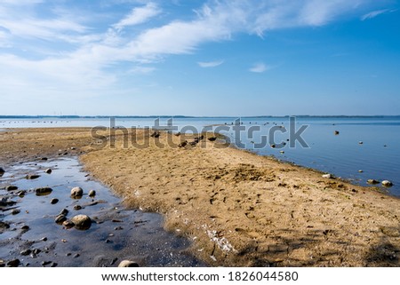 A sandy beach at a beautiful lake. Blue sky and water in the background. Picture from Ringsjon in the Malmo area in southern Sweden