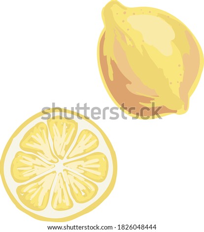 Whole lemon and cut lemon. Bright yellow fruit. Vector hand drawn illustration. Isolated on white