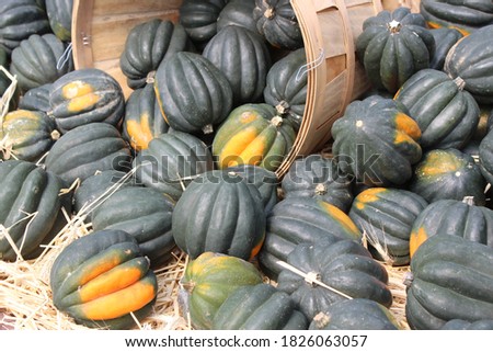 Numerous acorn squash spilling out of wood baskets on table at farmers market after harvest.