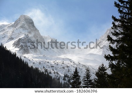 Blizzard in the Transylvanian Alps, Romania, Europe Royalty-Free Stock Photo #182606396