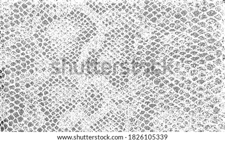 Snakeskin pattern imitation. Lines and spots structural texture. Cool and artsy faux leather background. Abstract vector illustration. Black isolated on white. EPS10 
