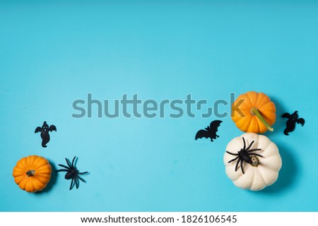 Halloween flat lay top view scene on aqua blue background, top view with copy space