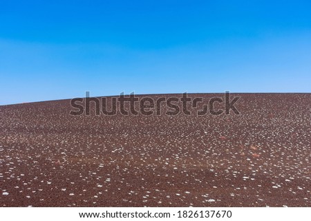 Scenic view of dwarf buckwheat plants growing on cinder slope at at Craters of the Moon National Monument and Preserve