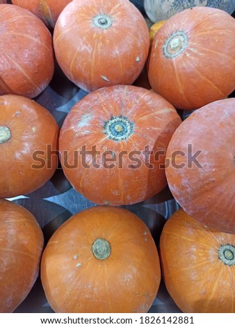 The picture of orange pumpkin on the display at a market