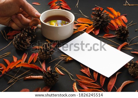 mug of black tea that reflects sky with yellow autumn trees, next to which lies clean white sheet of paper on black background with red fall leaves of rowan, pine cones, dry pine needles. blank sheet Royalty-Free Stock Photo #1826245514