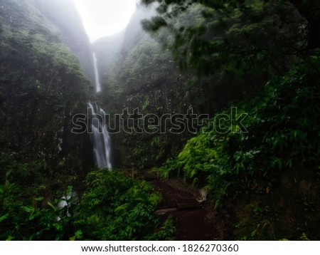Azores landscape with waterfalls and cliffs in Flores island. Portugal. Green lake and flora.