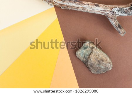 Abstract colorful paper backgroud. Dark brown, beige, orange, yellow and light paper background. Stone and dry tree branch