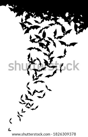 Bats in fly. Silhouettes on white background