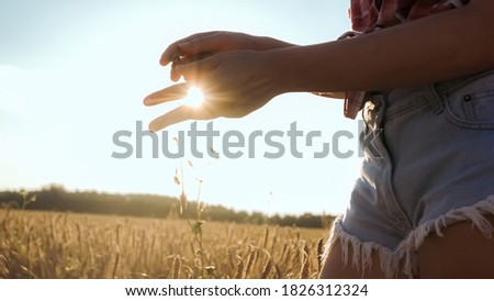 Young woman farmer in the wheat field checking grains.