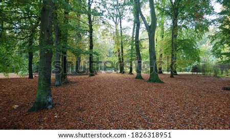 Autumn at Treptower Park in the German capital