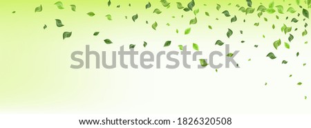Grassy Leaves Nature Vector Panoramic Green Background Design. Wind Foliage Template. Swamp Greenery Swirl Poster. Leaf Blur Brochure.