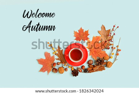 welcome autumn. tea cup, autumnal leaves, acorns, nuts, cones on blue background. Fall season concept. thanksgiving and halloween holiday. flat lay