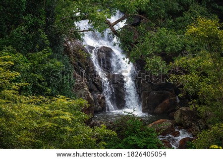 Nature waterfalls in forest area -Kanyakumari District, Tamilnadu, INDIA. Royalty-Free Stock Photo #1826405054