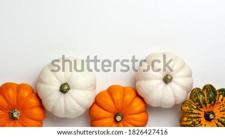 Flat lay of mini decorative pumpkin white, orange, yellow and green colors on bright background from above at the bottom. Halloween and Thanksgiving greeting card holiday concept with copy space