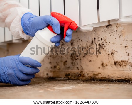 Removing Mold From Internal Walls. Elimination of mold at home under the heating battery, Clouse-up. Royalty-Free Stock Photo #1826447390