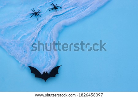 White spider net and with black bat