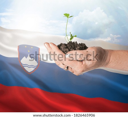 Slovenia growth and new beginning. Green renewable energy and ecology concept. Hand holding young plant.