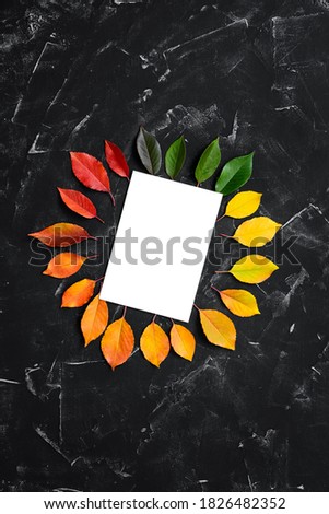 Blank card mockup and frame of autumn colored leaves on black stone background. Modern stationery scene. Beautiful autumn composition. Autumn wedding invitation. Top view, flat lay