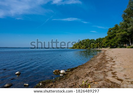 A sandy beach at a beautiful lake. Blue sky and water in the background. Picture from Ringsjon in the Malmo area in southern Sweden