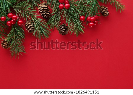 Christmas decoration layout or flat style with fir branches, berries and cones on a red background. Eco natural frame. New year holidays concept. Copy space. Selective focus