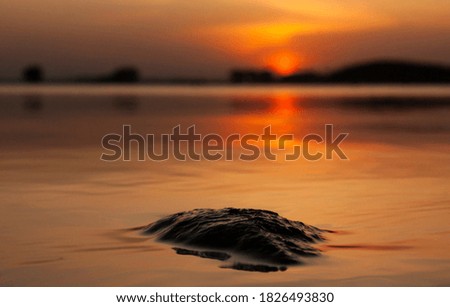 Close-up landscape picture of a part of black stone laying in the water of lake near the shore in the dusk on the foreground and blurred opposite bank during orange autumn sunset on the background