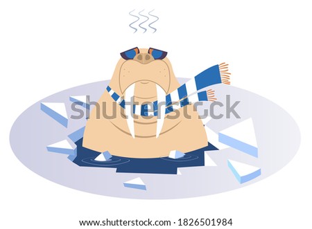 
Winter swimming walrus illustration. Walrus in scarf and sunglasses is swimming in the icy water and looks healthy and happy isolated on white
