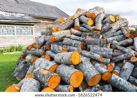 Chopped and stacked up dry firewood at the countryside. Stock pile of timber, chopped down trees