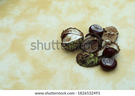 Chestnuts on a table in Autumn