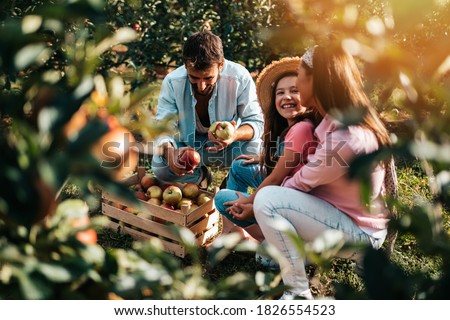 Happy family enjoying together while picking apples in orchard. Royalty-Free Stock Photo #1826554523
