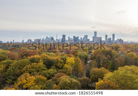 Aerial view of Toronto in the fall