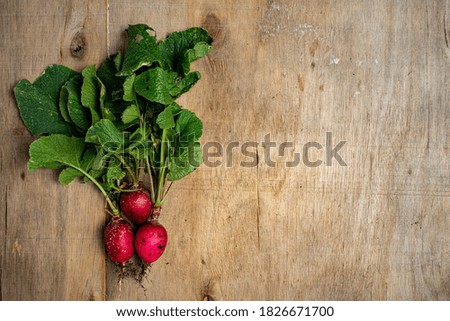 Fresh vegetables in composition on old wooden background. Healthy concept