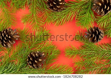 fir branches with cones. Christmas red background. new year celebration. top view, copy space 