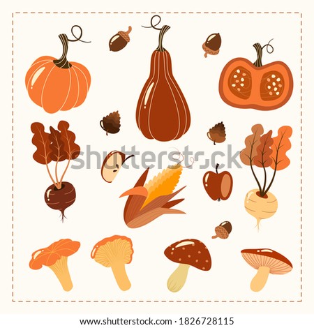 Hand drawn autumn set. Harvest elements vegetables pumpkin pine cone acorn carrot beet turnip mushrooms. Design elements for thanksgiving day