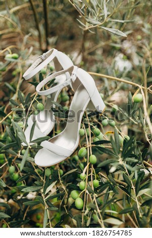 White sandals on the branches of an olive tree with fruits.